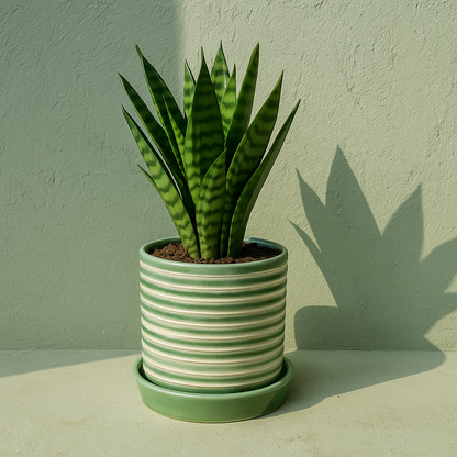 EverVerd Ceramic Planter