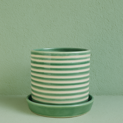 EverVerd Ceramic Planter