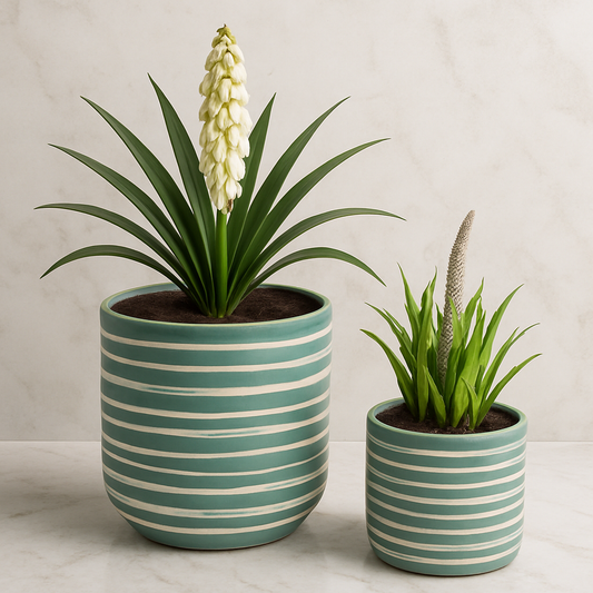 Costal Lines Planters