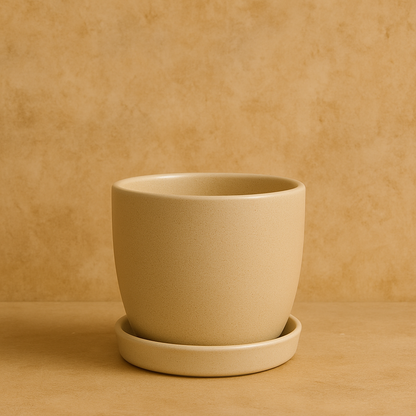 White Orchid  Planter