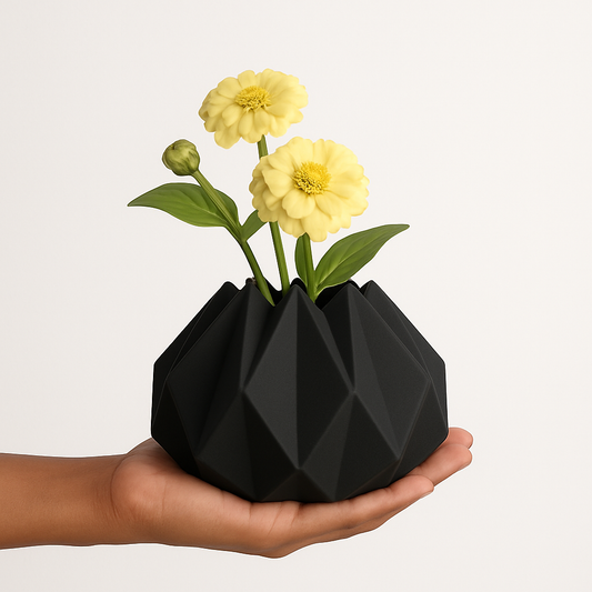 Hexa Noir