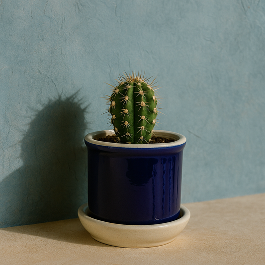 VerdaLiving Collection Vase
