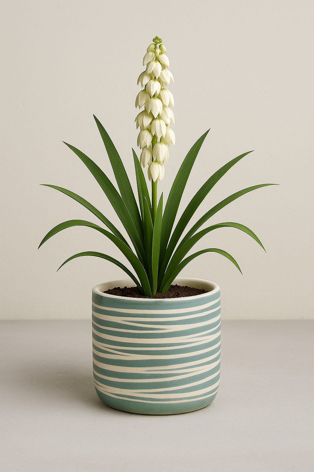 Costal Lines Planters