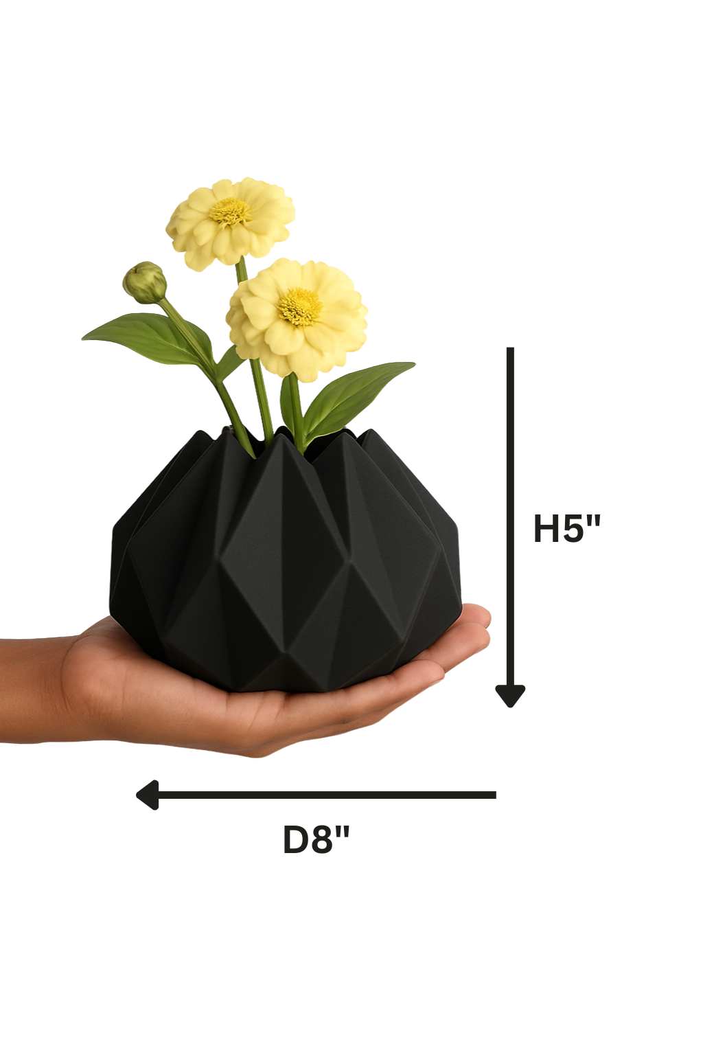 Hexa Noir