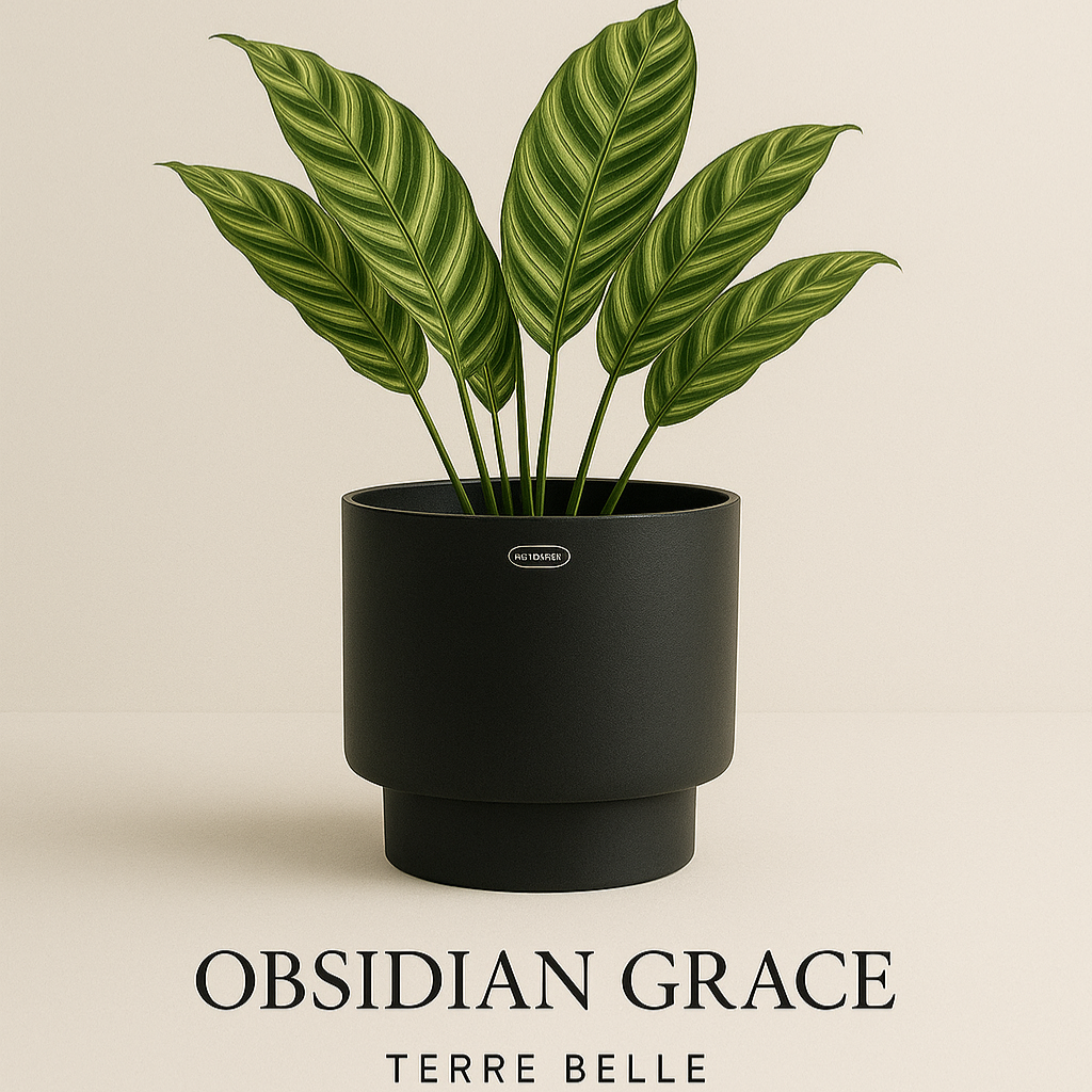 OBSIDAN GRACE