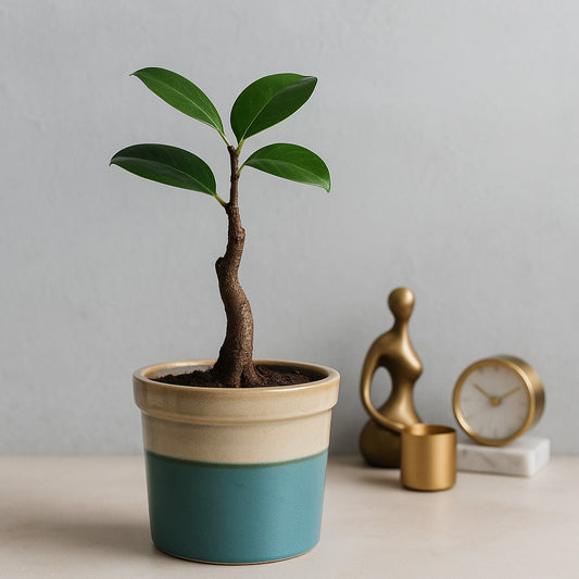 Costal Rim Ceramic Vase